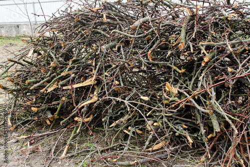 Canvas Print A pile of brushwood and branches lies on the ground