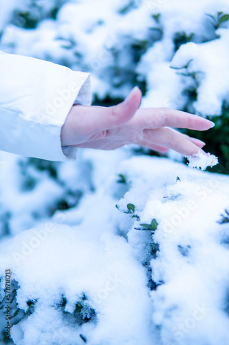 a hand touching the snow