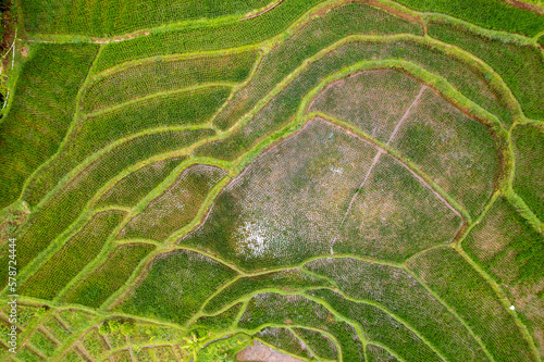 Aerial view of terraced rice fields where to plant rice with farmer's paths