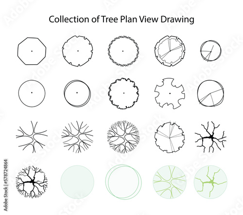 illustration of landscape and gardening, Collection of Tree view drawing , Pictures of various forms of trees for work, different types of tree paintings