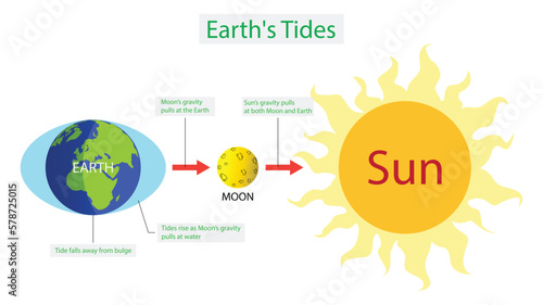 illustration of astronomy and cosmology Tides and Water Levels, The moon is a major influence on the Earth's tides, but the sun also generates considerable tidal forces