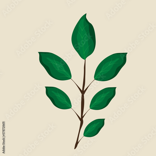 leaf vector illustrations. leaf element