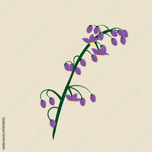 bell flowers element vector illustrations