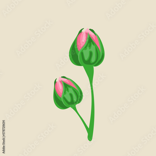 Rose gold flowers. white rose element vector. pink & white rose flowers bud. element vector illustrations