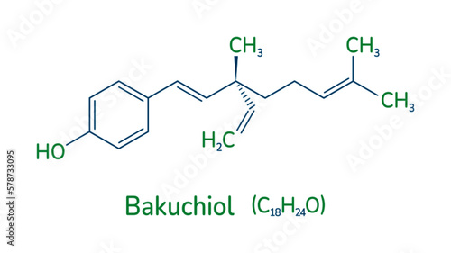 Bakuchiol chemical formula vector illustration. Meroterpene skeletal structure . A natural alternative to retinol molecule image and text. Can use for medical, cosmetic and scientific designs.