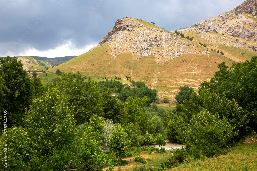 Fototapeta premium Trees around the mountain plateau