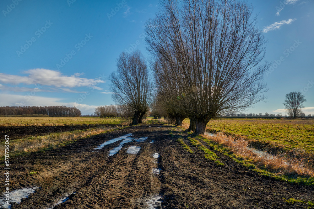 A field road from Willow, around Elblag, Poland - areas produced by the accumulation of river material in the river delts. A field road from Willow, around Elblag, Poland - areas produced by the accumulation of river material in the river delts.