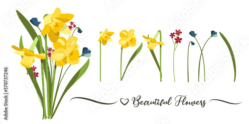 Beautiful bouquet of daffodils and flowers in vector. photo