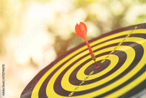 Red dart arrow hitting in bullseye on dartboard with sunlight and bokeh green background. Business targeting and focus concept.