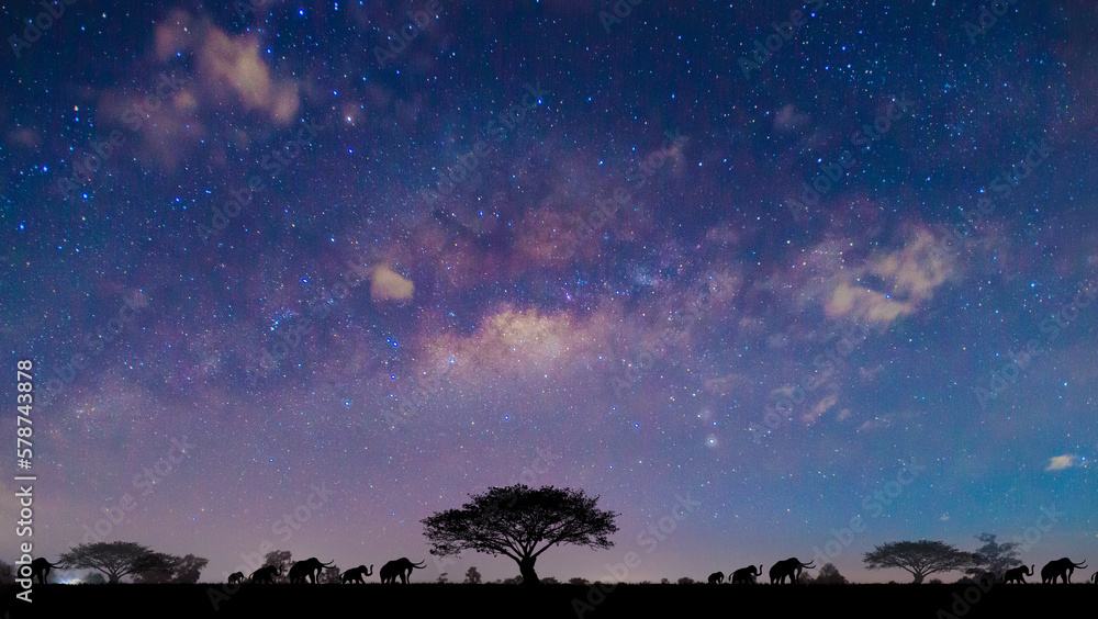 A herd of elephants travels during the night, on a blurred dark sky background.