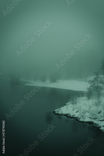 Seeufer im Winternebel
