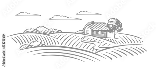 Fields with house in village. Rural landscape countryside