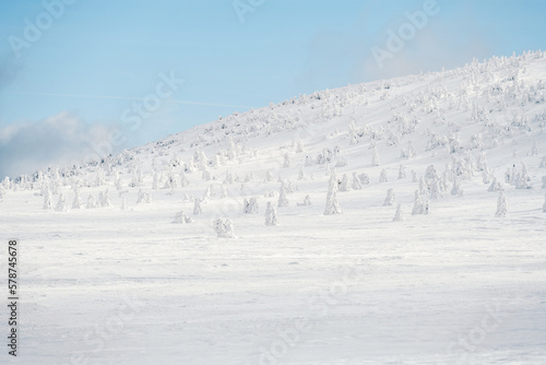 Alpine mountains landscape with white snow and blue sky. Sunset winter in nature. Frosty trees under warm sunlight. Krkonose Mountains National Park, Czech Republic ,Lucni bouda photo