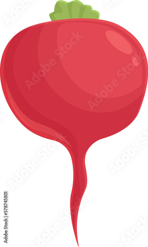 Borsch radish icon cartoon vector. Food dish. Garlic dinner
