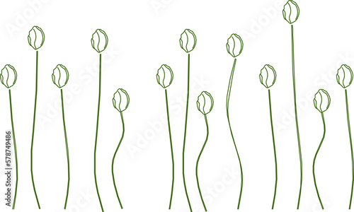 sketch vector illustration of growing plant sprouting