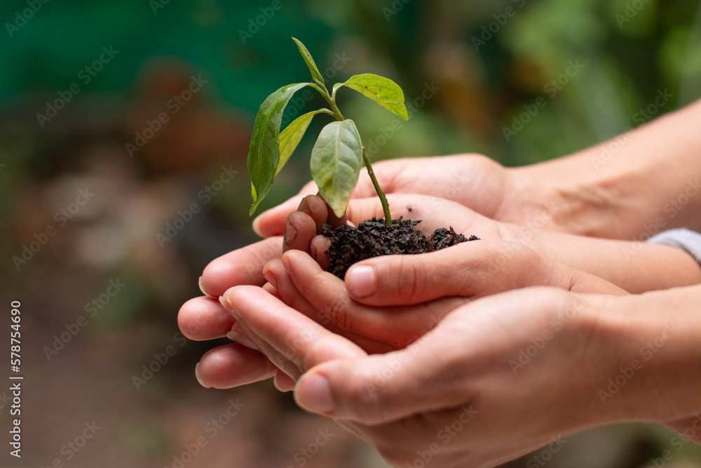 Child and mother caring for a plant: an ecological gesture on Earth Day Child and mother caring for a plant: an ecological gesture on Earth Day