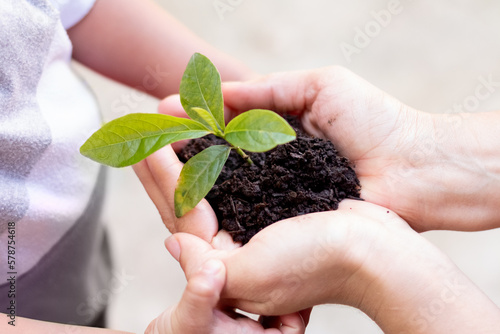 Hands Together for Earth Day: Woman and Child Growing a Plant