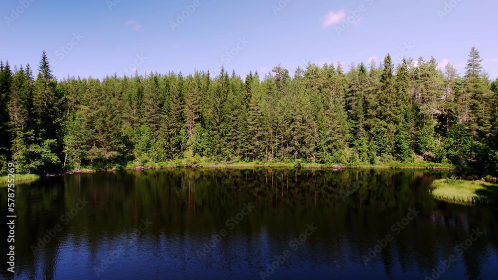 Evergreen forest lake in the Swedish wilderness. Shadows of the pine trees reflect in the water. Blue sky. View of the idyllic untouched nature in Ambjörby, Värmland, Sweden Evergreen forest lake in the Swedish wilderness. Shadows of the pine trees reflect in the water. Blue sky. View of the idyllic untouched nature in Ambjörby, Värmland, Sweden
