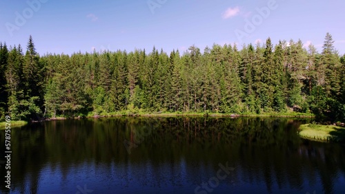 Evergreen forest lake in the Swedish wilderness. Shadows of the pine trees reflect in the water. Blue sky. View of the idyllic untouched nature in Ambjörby, Värmland, Sweden