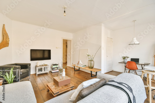 Modern living room with sofa and TV