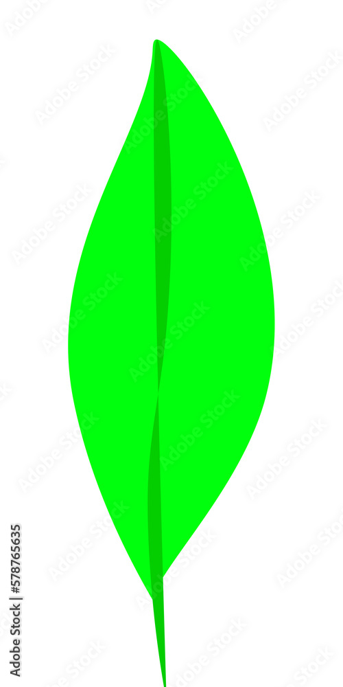 Simple Green Leaf Alpha Transparent Background Simple Green Leaf Alpha Transparent Background