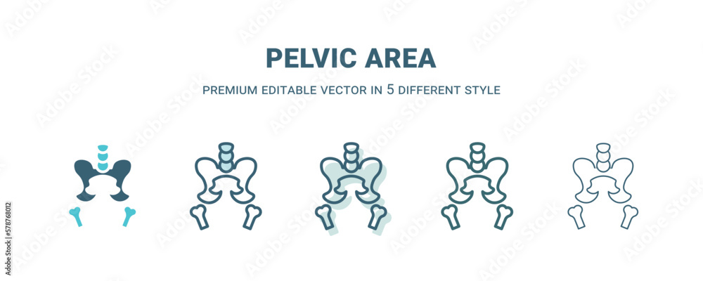 pelvic area icon in 5 different style. Outline, filled, two color, thin pelvic area icon isolated on white background. Editable vector can be used web and mobile