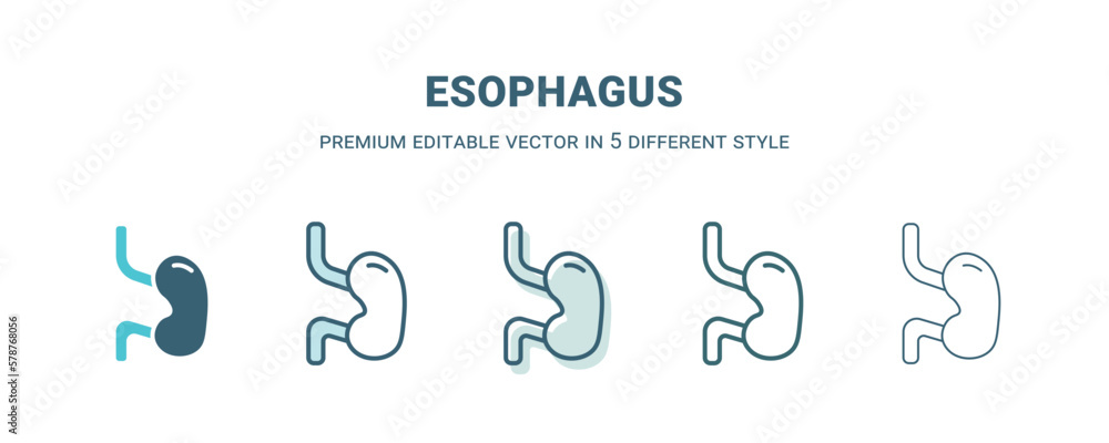 Fototapeta premium esophagus icon in 5 different style. Outline, filled, two color, thin esophagus icon isolated on white background. Editable vector can be used web and mobile