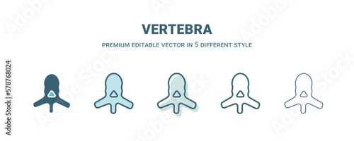 vertebra icon in 5 different style. Outline, filled, two color, thin vertebra icon isolated on white background. Editable vector can be used web and mobile