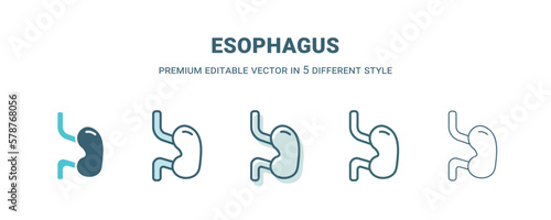 esophagus icon in 5 different style. Outline, filled, two color, thin esophagus icon isolated on white background. Editable vector can be used web and mobile