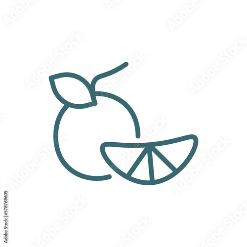 tangerine icon. Thin line tangerine icon from vegetables and fruits collection. Outline vector isolated on white background. Editable tangerine symbol can be used web and mobile