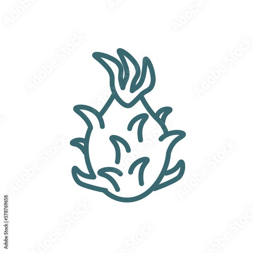pitaya icon. Thin line pitaya icon from vegetables and fruits collection. Outline vector isolated on white background. Editable pitaya symbol can be used web and mobile