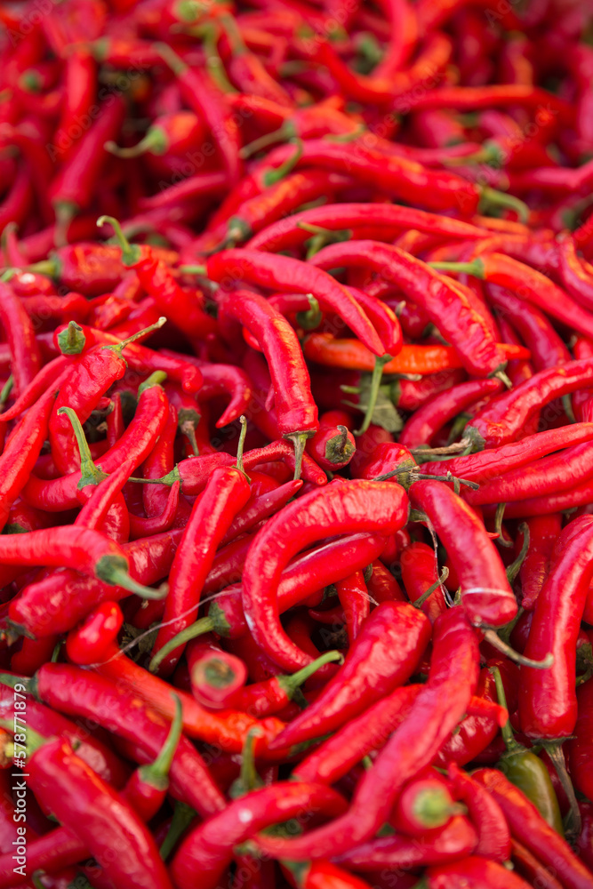 Red Chilies at a market