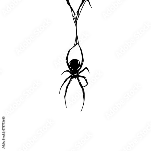 vector illustration of a spider with a web