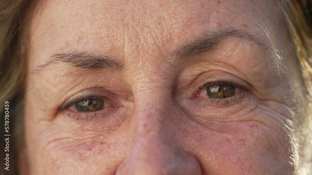 One Senior Woman Close Up Macro Face of Eyes Looking at Camera. Wrinkled Female Person Older Female Person With Happy Expression One Senior Woman Close Up Macro Face of Eyes Looking at Camera. Wrinkled Female Person Older Female Person With Happy Expression