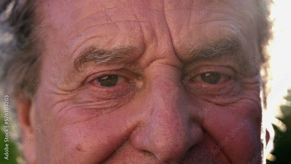 Macro close up of a happy wise wrinkled senior man eyes looks at camera smiling Macro close up of a happy wise wrinkled senior man eyes looks at camera smiling