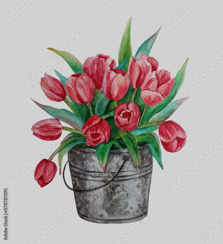 Watercolor red tulips bouquet in tin bucket isolated on white background. Spring flowers. Card for Mothers day, 8 March, wedding.