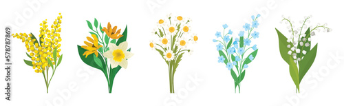 Meadow Flower Blossom with Stems Bouquet Vector Set
