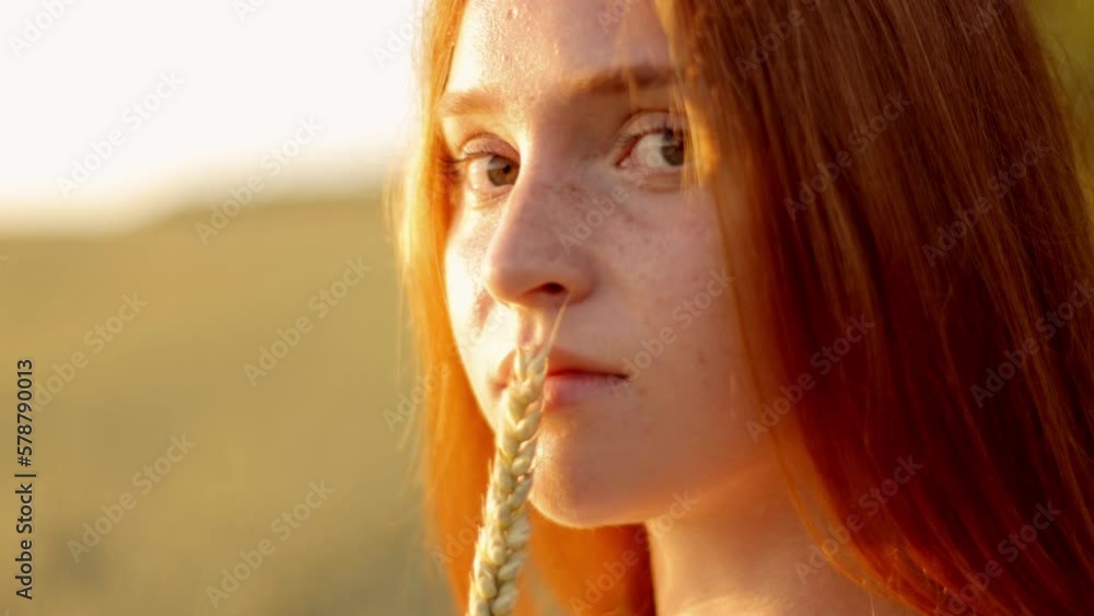 close-up portrait of a red-haired charming pretty girl with freckles standing in a wheat field and holding an ear of corn in her hands close-up portrait of a red-haired charming pretty girl with freckles standing in a wheat field and holding an ear of corn in her hands