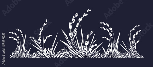 Wild rice border. Vector raw grains, texture plant
