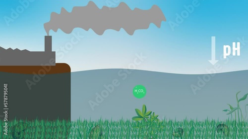 An animation showing the effect of ocean acidification to seawater, fish and seaweeds