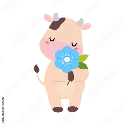 Cute happy spotted baby cow smelling flower. Adorable farm animal character cartoon vector illustration