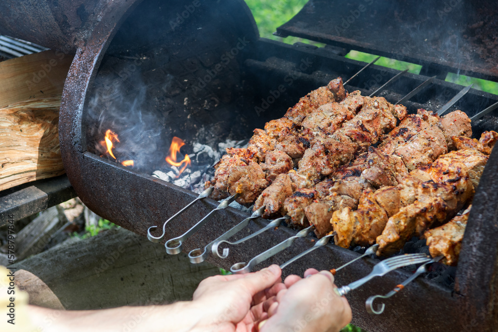 Meat are fried on barbecue, grilled meat over the coals, picnic in the nature, shashlik roasting on barbecue, nature background