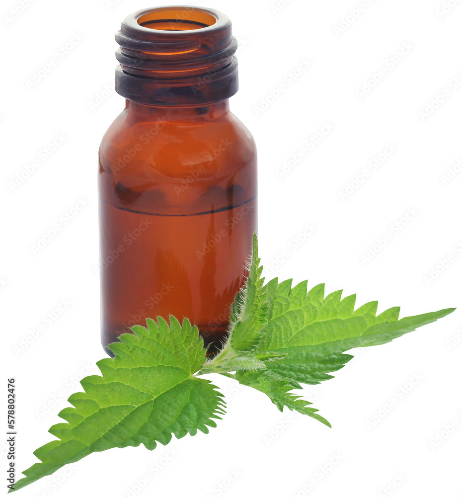 Nettle leaves with extract Nettle leaves with extract