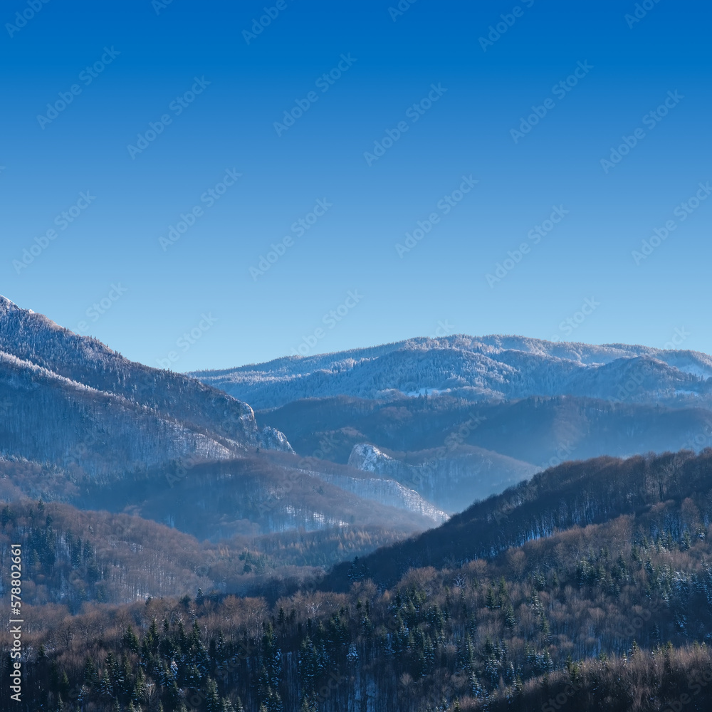 Panoramic view of beautiful winter wonderland mountain scenery with leafless snow capped trees, clear blue sky and high Alpine mountains on background. Picturesque wintry scene with copy space