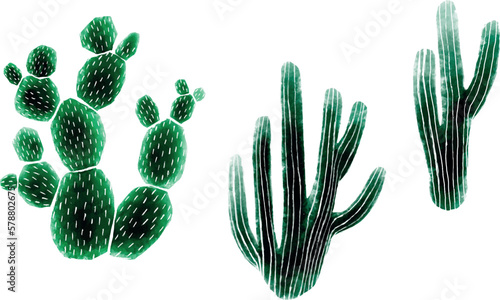 Watercolor cactus set isolated on white background. Vector design.