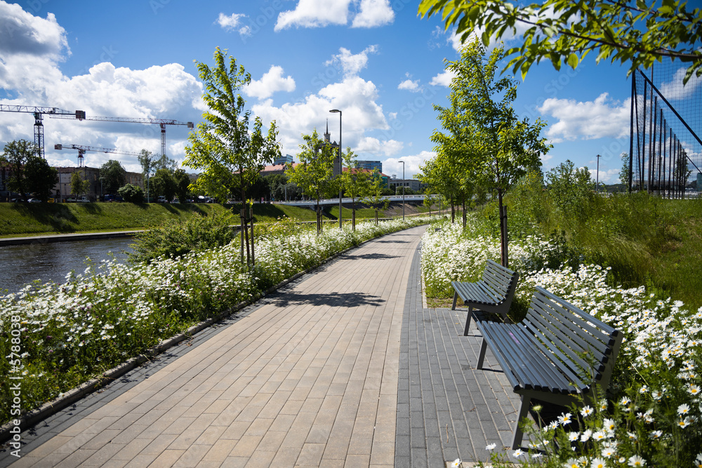 Summer in Vilnius center with chamomiles in bloom, Neris river Summer in Vilnius center with chamomiles in bloom, Neris river