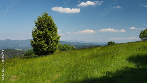 Beskid Śląski