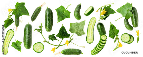 Fresh garden cucumber with leaves and flowers set. PNG isolated with transparent background. Flat lay, top view. Without shadow. photo