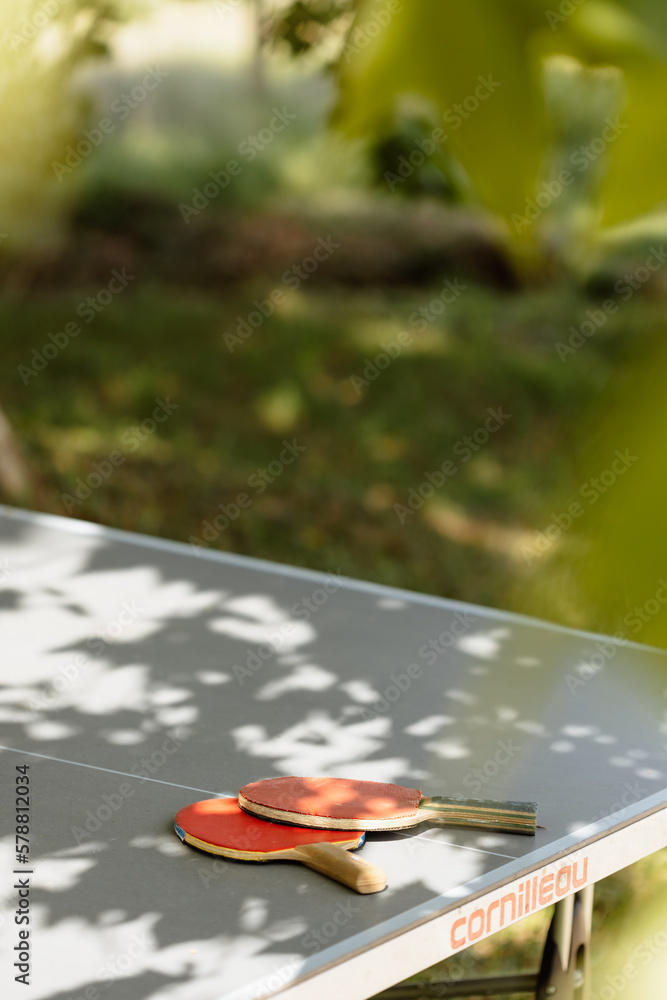 Raquettes et table de ping pong dans la nature Raquettes et table de ping pong dans la nature