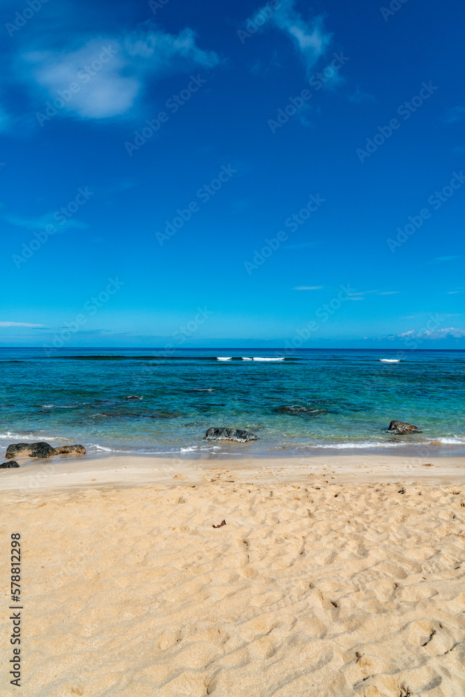 Relaxing at the Waimea Bay Beach in Oahu, Hawaii